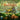 Everdell - Bellfaire