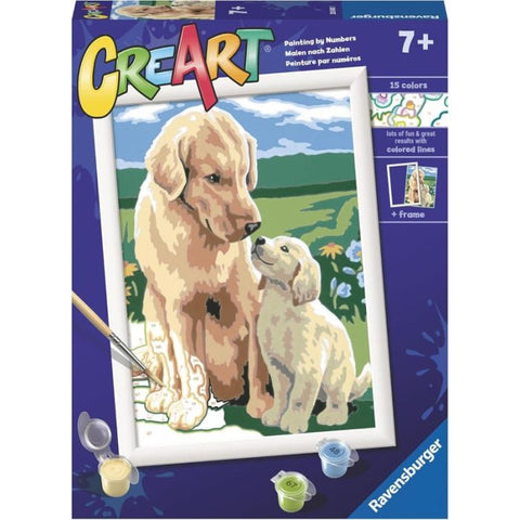 CreArt Serie D - Retriever sul Prato