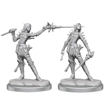 Elfa Ladra - Miniatura Pathfinder Legendary Cuts W02A