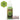 Warpaints - Snake Scales (18ml)
